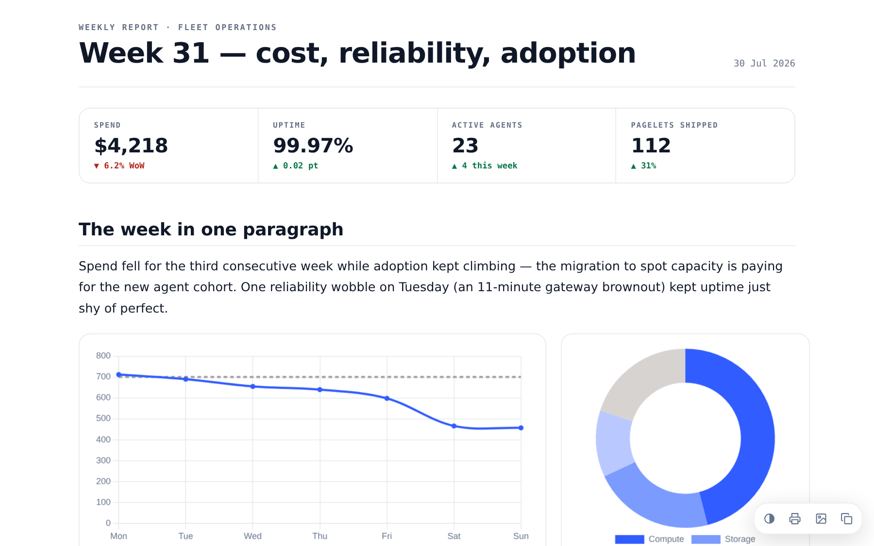 Operations report template preview
